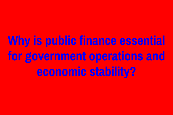 Why is public finance essential for government operations and economic stability?