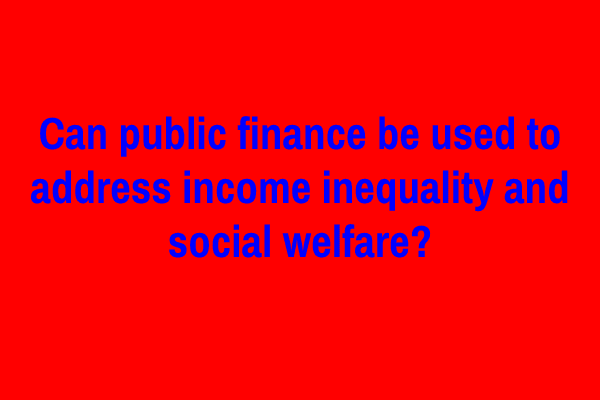 Can public finance be used to address income inequality and social welfare?