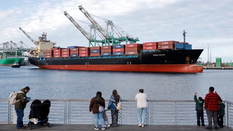 Trump sued over new tariffs, experts say courts may scrap them