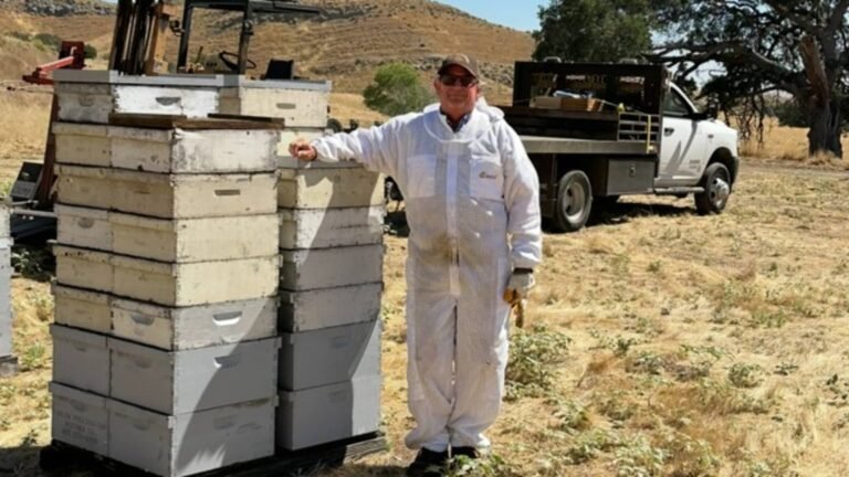 How this 70-year-old honey bee farmer is keeping his family farm alive