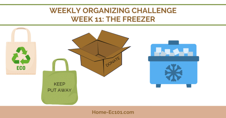 Organizational Challenge: The Freezer – Home-Ec 101