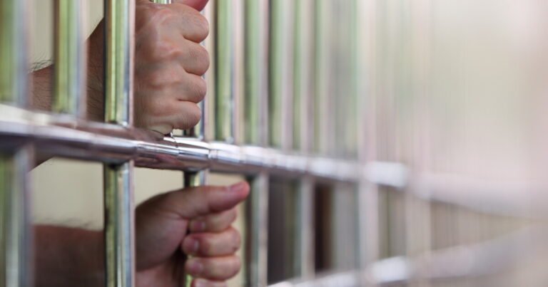 Tax Fraud Blotter: Took the internet by storm