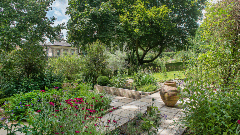 How the Ideal Home team is ‘lemonading’ their gardens