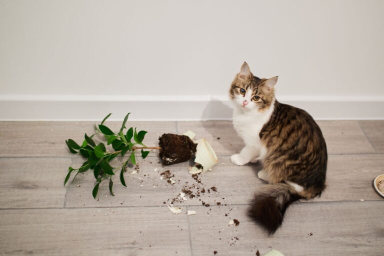Pet Stocks Have Slipped Since COVID. Is This an Investing Opportunity?