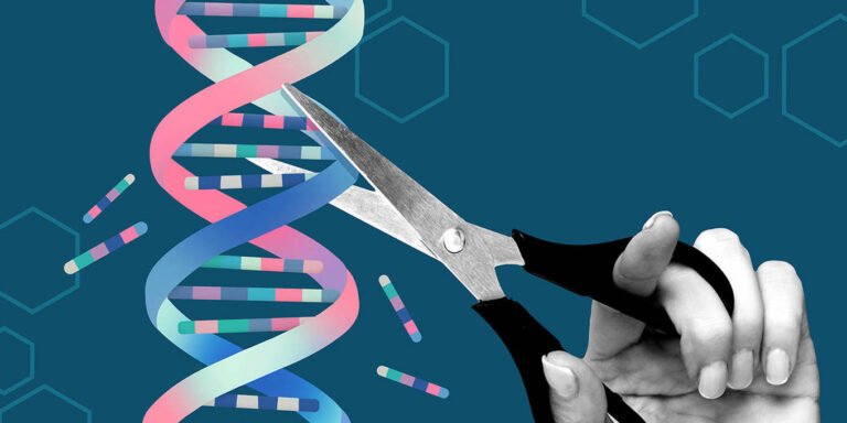 There Is Only One Acceptable Path for Designer Babies by Daron Acemoglu