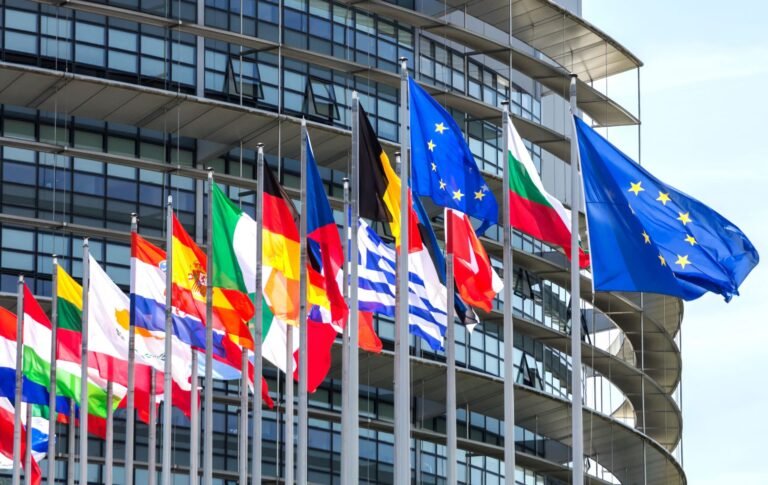 EU Company Tax Disclosures | Tax Transparency Requirements