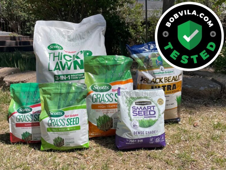 The Best Grass Seed – Top Picks from Bob Vila