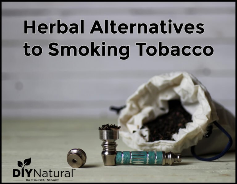Smoking Alternatives: Herbs You Can Smoke Instead of Tobacco