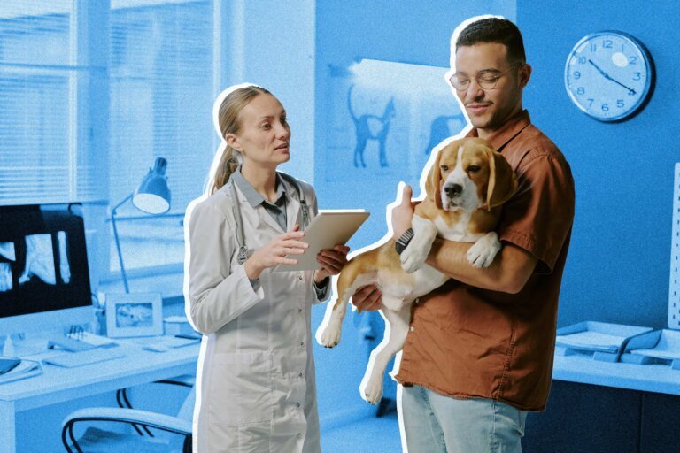 How Much of The Average Vet Bill Does Pet Insurance Cover?