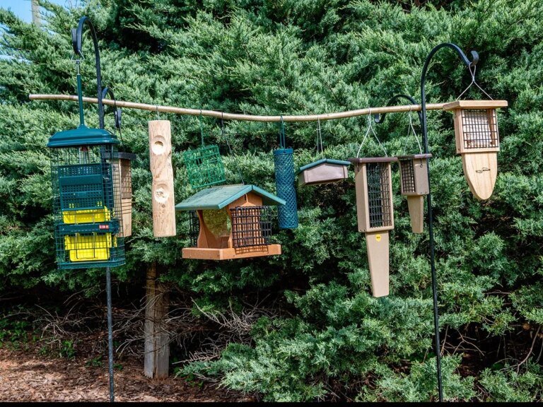 The Best Suet Bird Feeders of 2026, Tested
