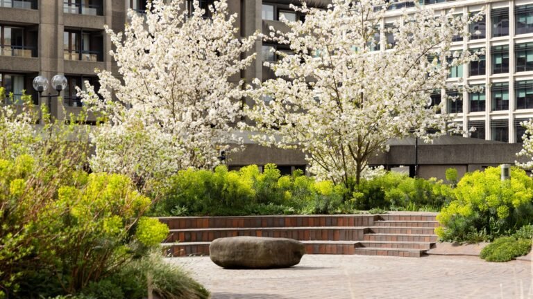How the Barbican’s Beech Gardens Capture ‘Urban Wilderness’