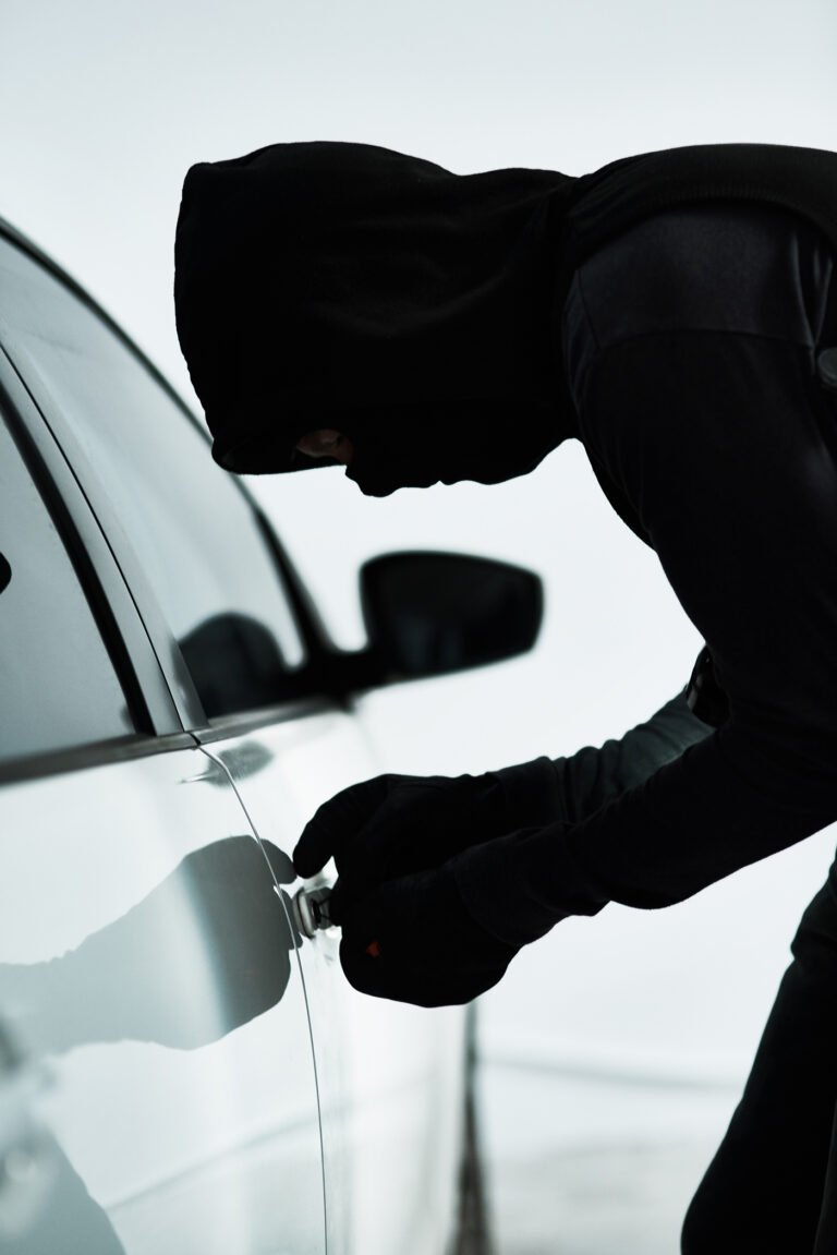 Michigan Man Sentenced for Role in Metro Detroit Auto Theft Ring