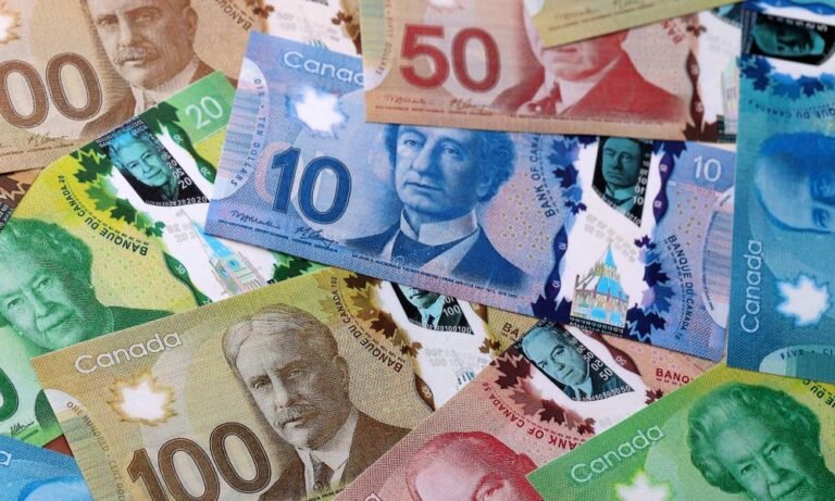 BC court orders Ponzi scheme investors to repay excess returns