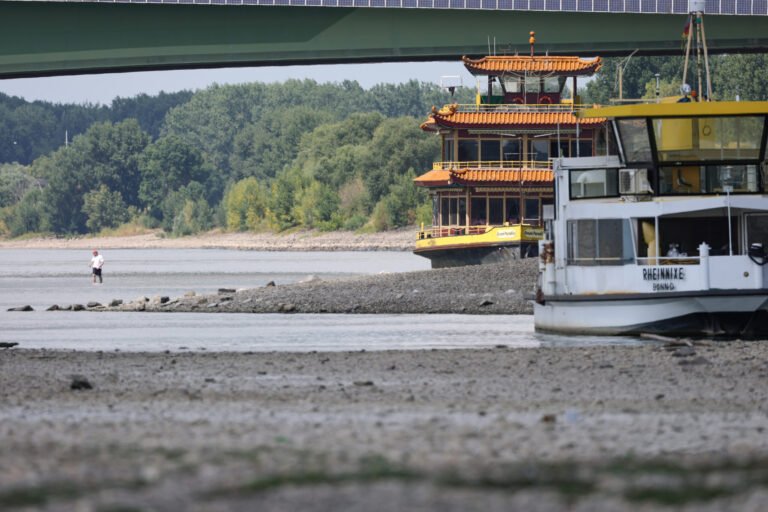 Heat Pushes Rhine Toward 36-Year Low in Risk to Energy Supplies