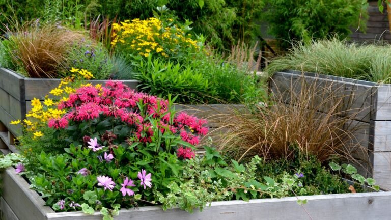 What To Plant In Raised Beds In August: 7 Must Grow Plants