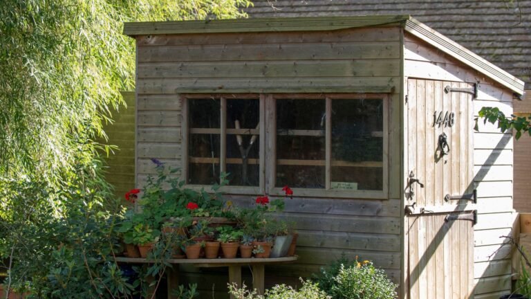 Why I’m using wool to water my plants less