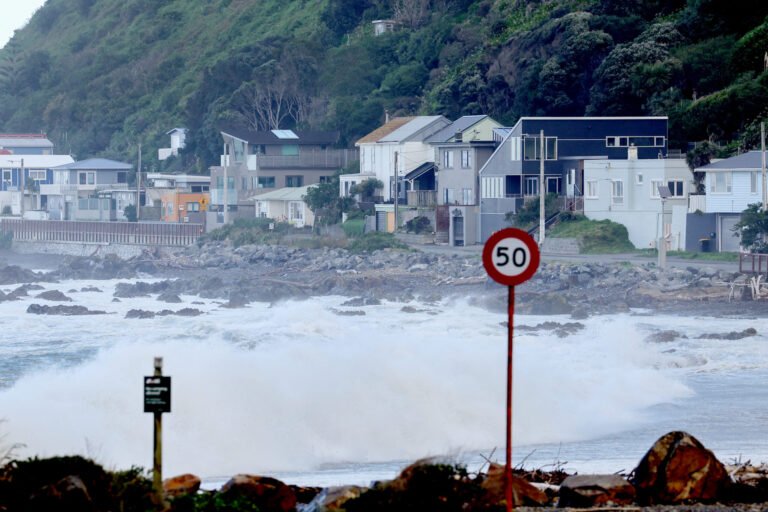 Flood Risk Doesn’t Matter as Bargain Houses Tempt NZ Buyers