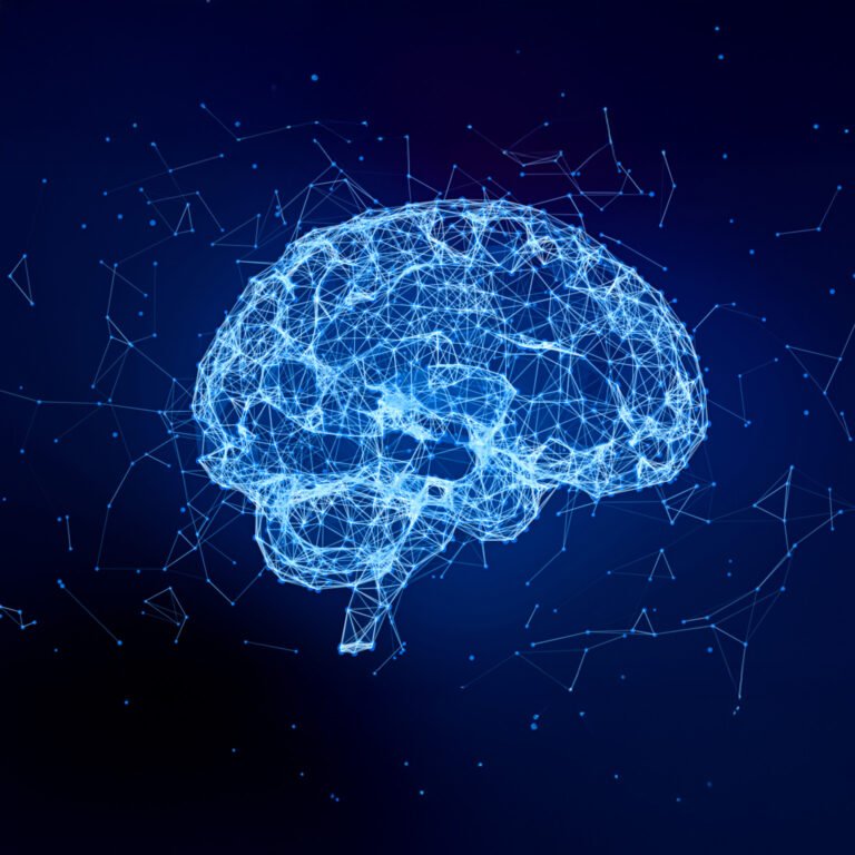 The human advantage in an AI economy