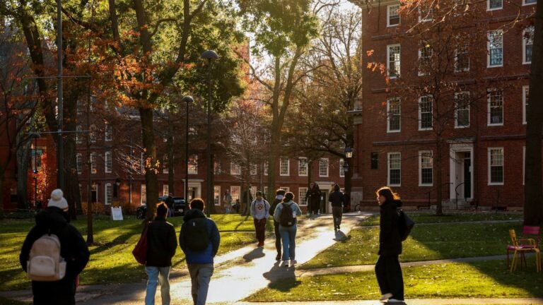 International student enrollment falls amid tighter U.S. visa policies: Reports