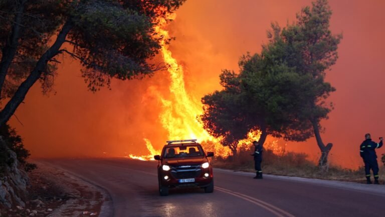 Europe’s wildfire ‘protection gap’ is growing, insurers warn