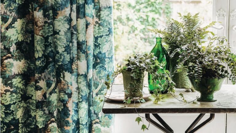 Why Your Houseplants Are Thirstier in August and How to Fix It