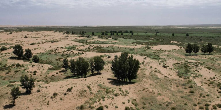 The Global Land Agenda’s Moment of Truth by Osama Faqeeha & Bradley Hiller