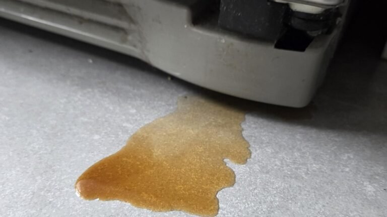 Brown Liquid Started Leaking From Her Fridge, but Everything Inside Was Clean