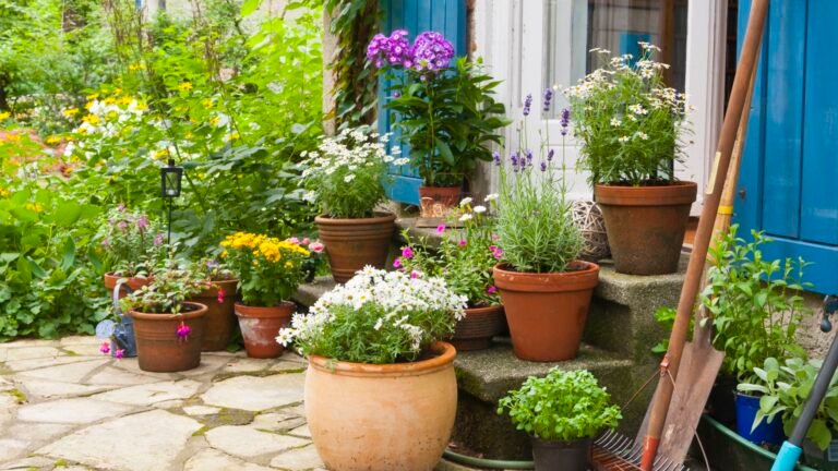 Why Gardeners Use Alaska Morbloom Fertilizer in Late Summer
