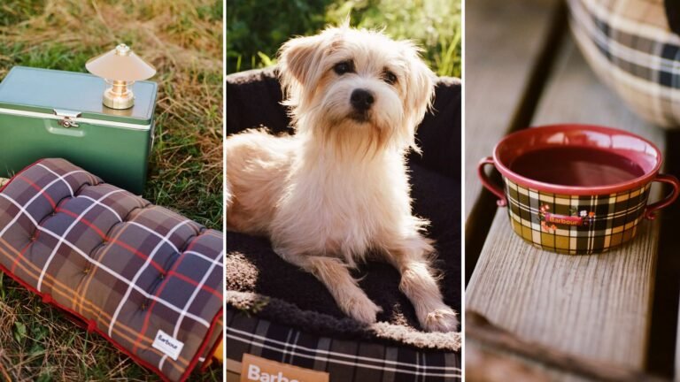 Barbour x Anthropologie’s New Home Collab Is for the Dogs