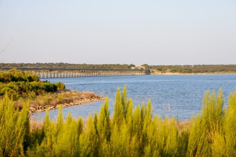 Eagle Point leads $1.3bn private credit loan for Texas data centre