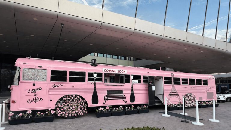 Barbie-Coded 38 Ft. Converted Pink Skoolie can be Tiny House