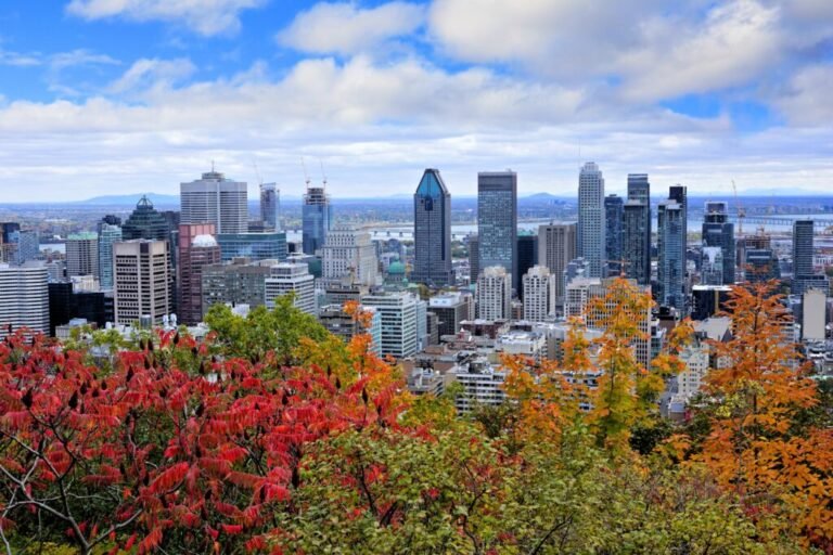 La Caisse delivers 5.1% first-half return as private equity weighs on performance