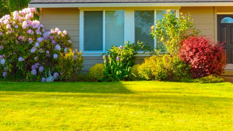 The Best Grasses for a Drought-Tolerant Lawn