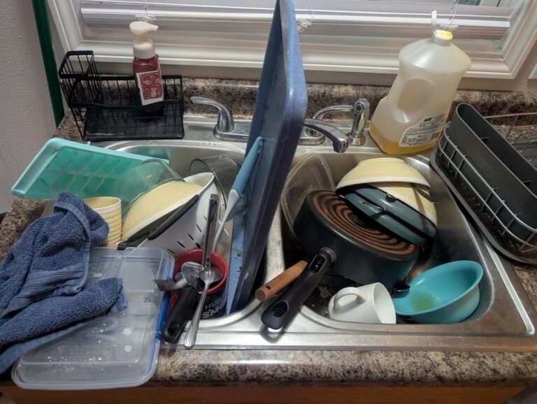 She Told Herself She Only Had to Clean for 2 Minutes, Then the Sink Looked Like This