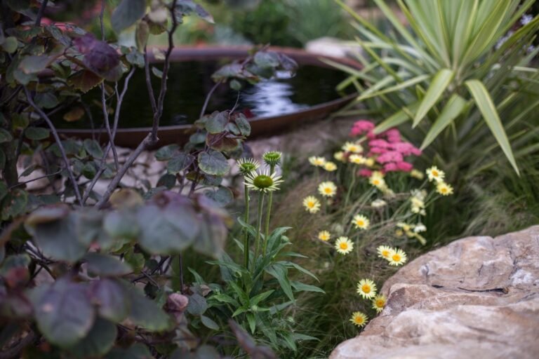 Summer Flowers Are Fading, but These Garden Beds Are Just Starting Their Fall Show