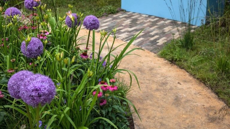 These Plants Can Replace Hard Edging Along a Garden Path