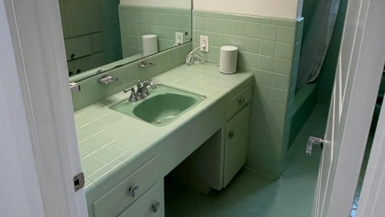 This 1959 Mint Green Bathroom Was Remodeled Without Losing Its Defining Color