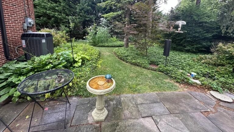 This Backyard Replaced Ground Cover With Winding Stone Paths and Native Plants