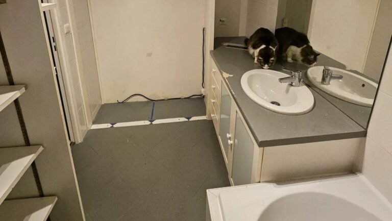 This Windowless Bathroom Uses Two Shades of Green Tile to Break Up the Shower