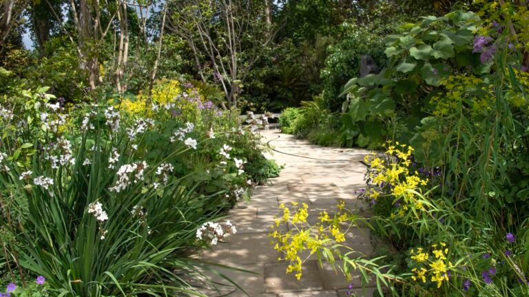 August Is the Perfect Time to Put Down Compost: Here’s How