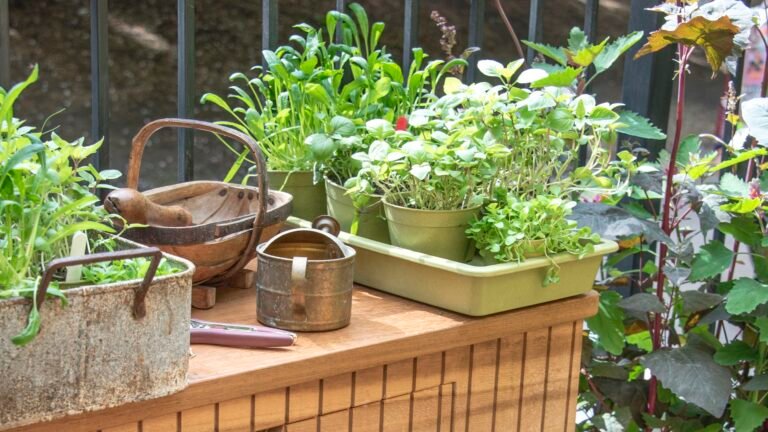 5 Easy-to-Grow Herbs That Naturally Repel Fruit Flies