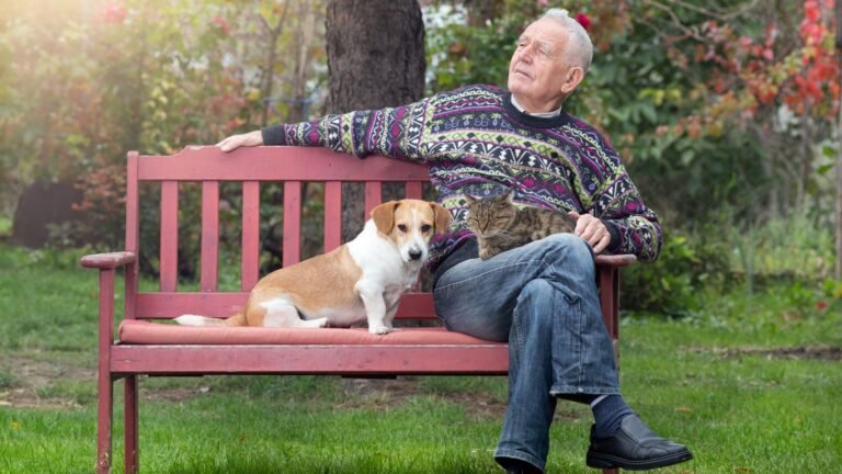 Dog People vs Cat People: Who Has a Better Retirement?