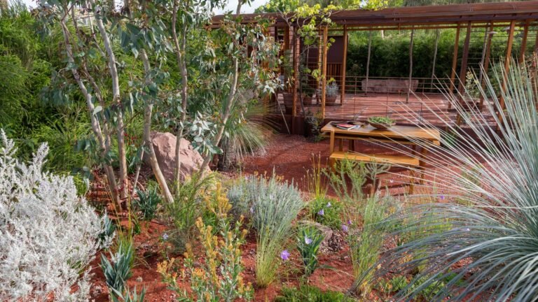 This Mediterranean Garden Trend Makes Sense for Hot Summers
