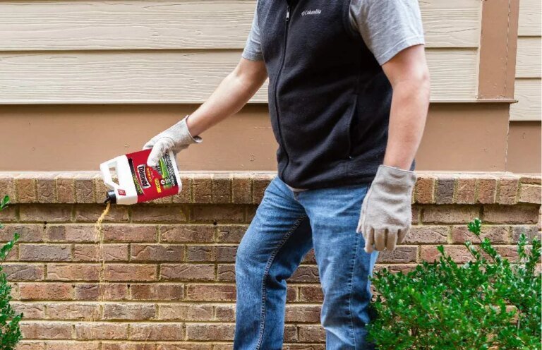 The Best Fire Ant Killers of 2026, Vetted
