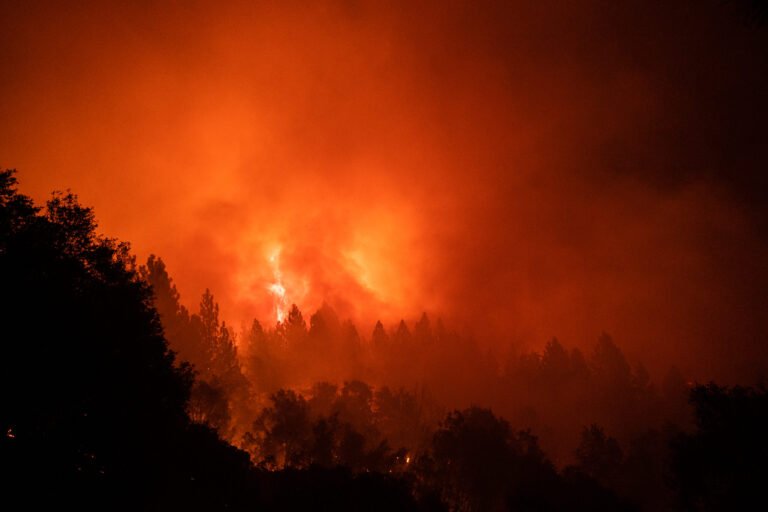 Wildfire Forces Evacuations Across Top Canadian Wine Region