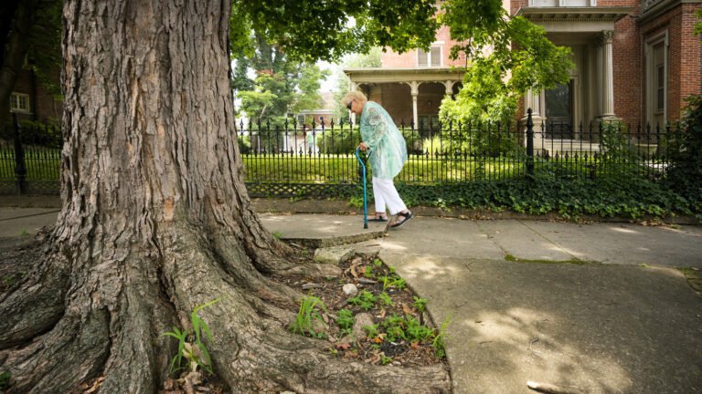Who Pays For Cracked Sidewalk Repairs? Here’s What To Know