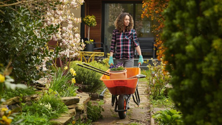 Clean Anywhere Around Your Yard With A Handheld Tool From Amazon