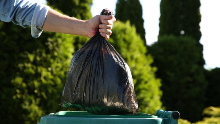 12 Things You Shouldn’t Put In The Trash: How To Safely Dispose Of Them
