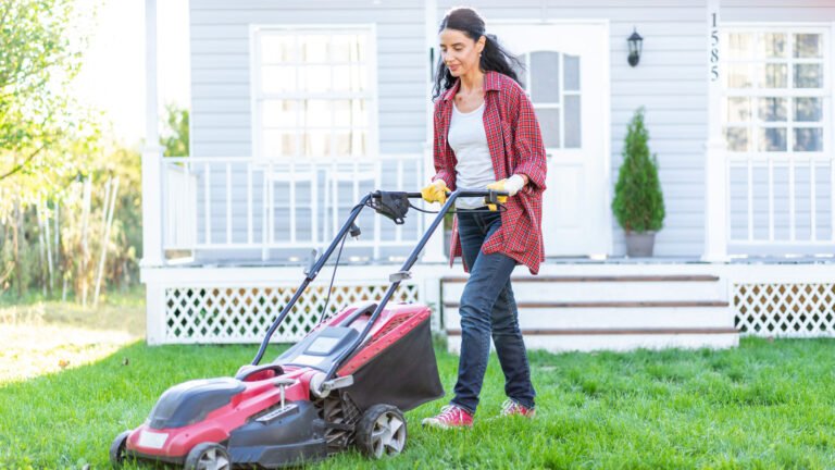 Where Is The Cheapest Place To Buy A Lawn Mower?
