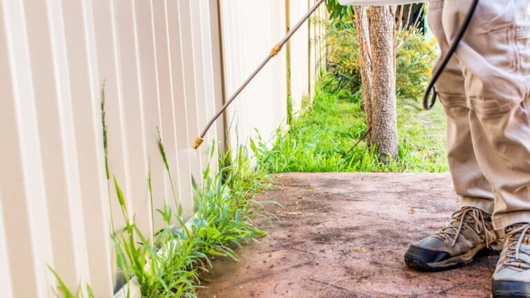 What Happens If You Add Dawn Dish Soap To Weed Killer?